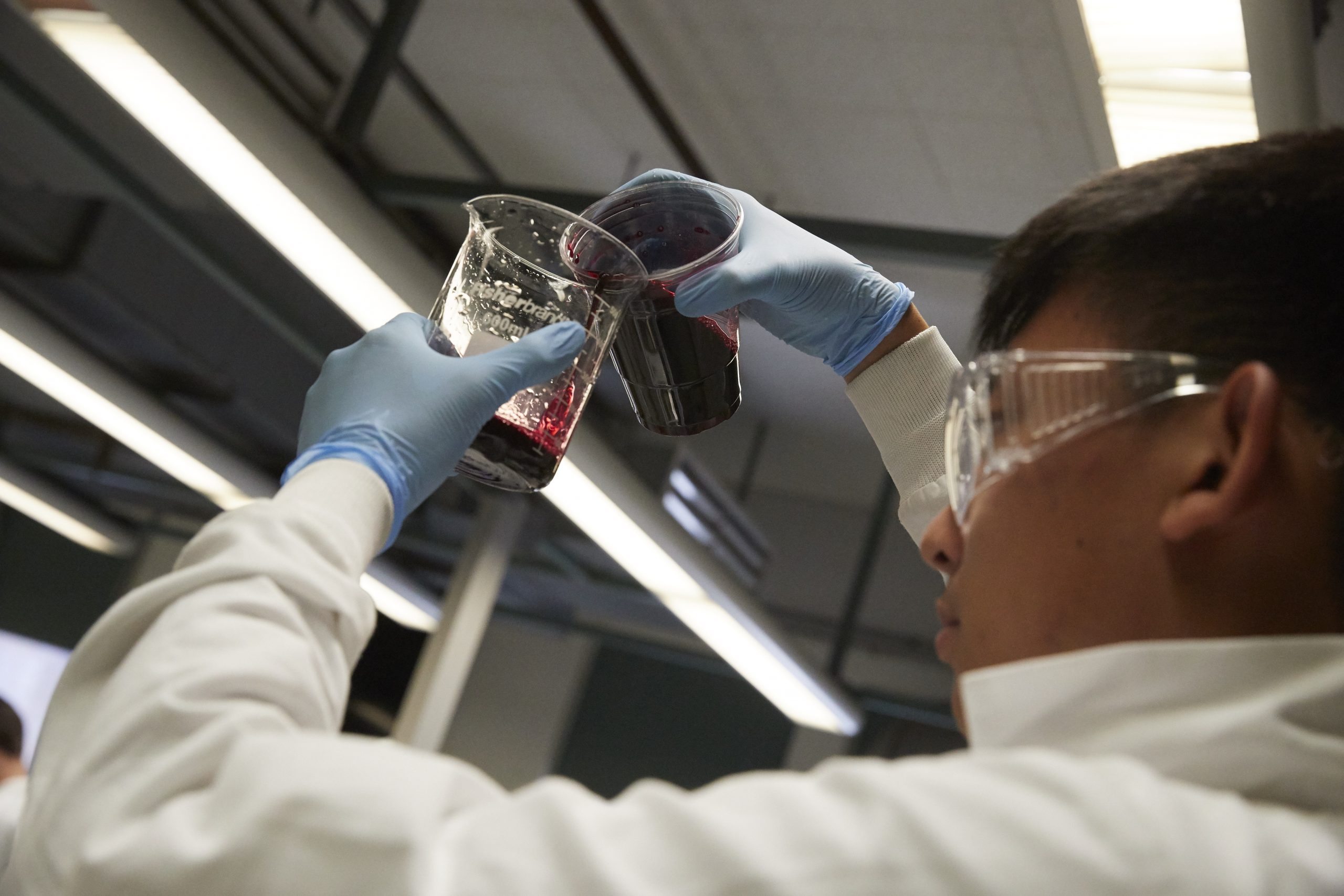 A student in a white lab coat, protective glasses and gloves pours a red liquid from a cup into a beaker.