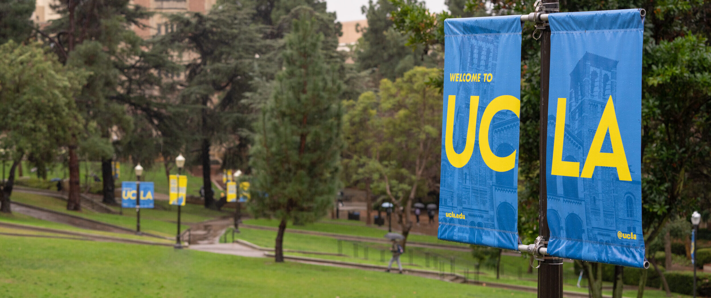 Two blue banners with yellow text reading "Welcome to UCLA" hang from a lamppost in a green park area, with trees and a building in the background.