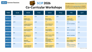 SCIP 2026 Co-Curricular Workshops