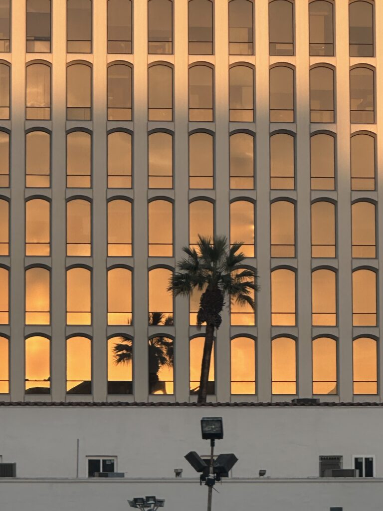 Sunset reflections on a modern building's façade, featuring a palm tree silhouette and warm orange and yellow hues in the windows.